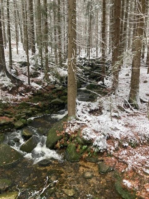 Harrachov 702 Daire Dış mekan fotoğraf